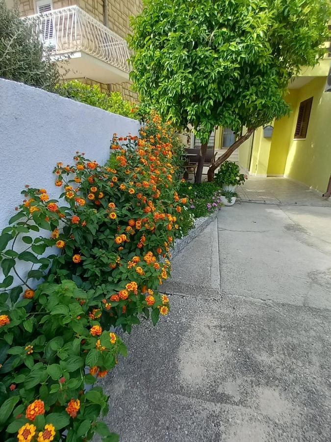 Bugenvilija ดูเช ภายนอก รูปภาพ